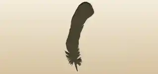 鳥の羽