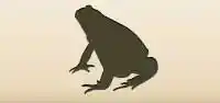 Frog silhouette