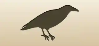 カラス