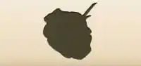 Rose silhouette
