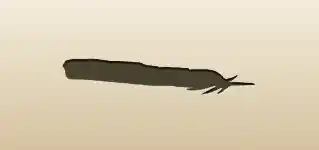 鳥の羽