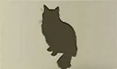 ネコ