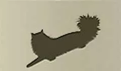 ネコ