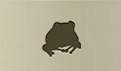 ヒキガエル