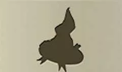 帽子