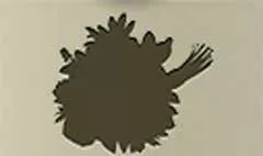 花束