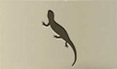 Lizard silhouette #1