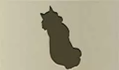 狼