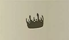 王冠