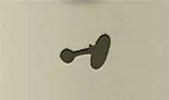 キノコ