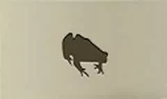 ヒキガエル
