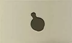 毒薬