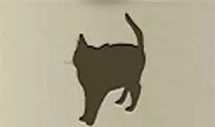 ネコ