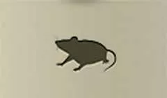 ネズミ