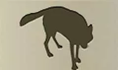 狼