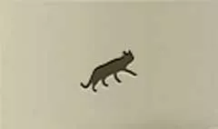 ネコ