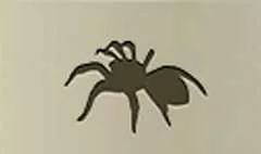 クモ