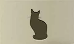 ネコ