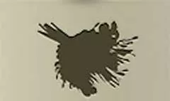 花束