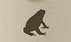 ヒキガエル
