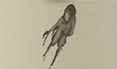 幽霊