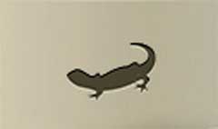 Lizard silhouette #5