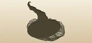帽子