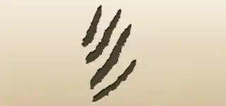 ひっかき傷