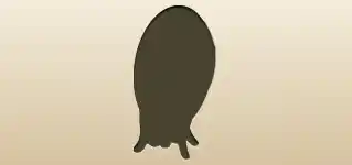 鏡