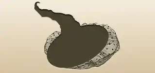 帽子