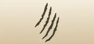 ひっかき傷