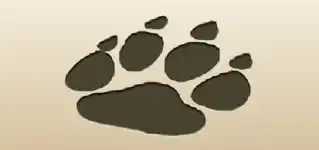 動物の足跡
