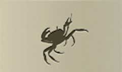 Crab silhouette