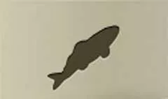 魚のシルエット