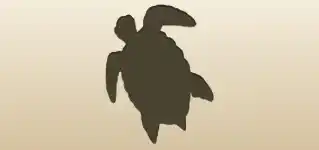 Turtle silhouette