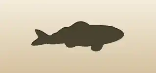 Fish silhouette