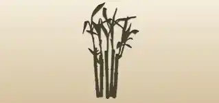 Bamboo silhouette