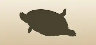 Turtle silhouette