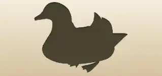 Mandarin Duck silhouette