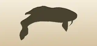 Fish silhouette
