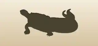 Turtle silhouette
