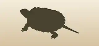 Turtle silhouette