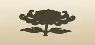 Chrysanthemum silhouette
