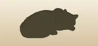Cat silhouette
