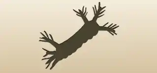 Caterpillar silhouette