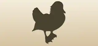 Mandarin Duck silhouette