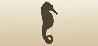 Seahorse silhouette