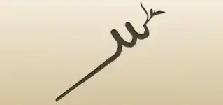 Bamboo silhouette