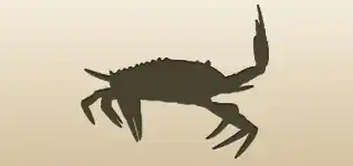 Crab silhouette