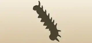 Caterpillar silhouette
